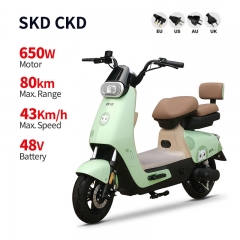 Electric Moped GB-21 650W 48V 20Ah 43km/h