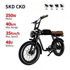 Electric Bicycle 2206 350W 48V 10.4Ah 35km/h