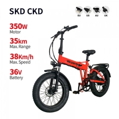 Electric Bicycle 2209 350W 36V 7.8Ah 38km/h