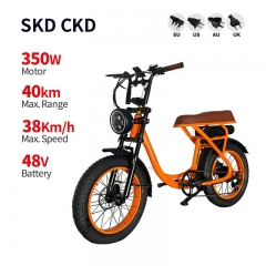 Electric Bicycle 2207 350W 48V 10.4Ah 38km/h