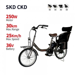 Electric Bicycle 2220 250W 36 7.8Ah 25km/h