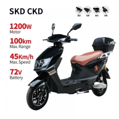 Electric Moped YW-07 1200W 72V 20/32Ah 45km/h