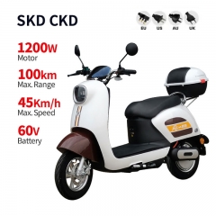 Electric Moped GW-03 1200W 60/72V 20Ah 45km/h