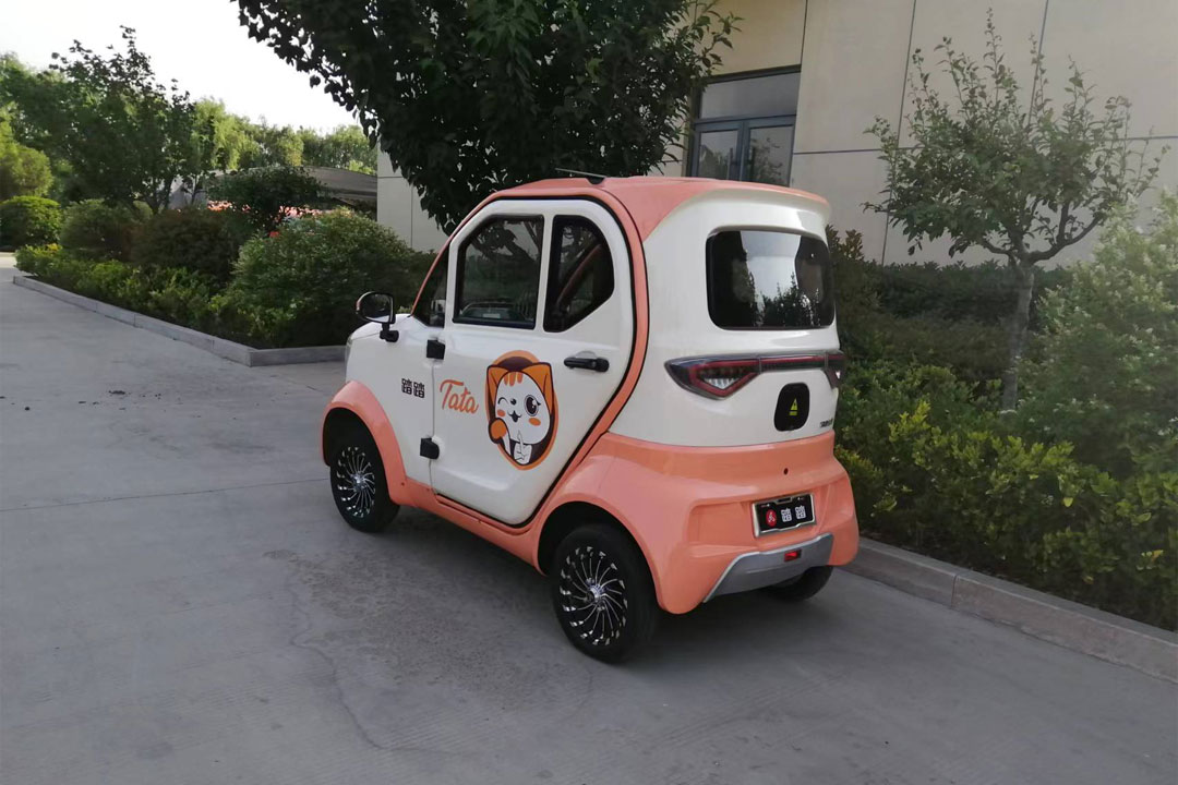 Market Characteristics of Low-Speed Electric Vehicles: Small but Mighty