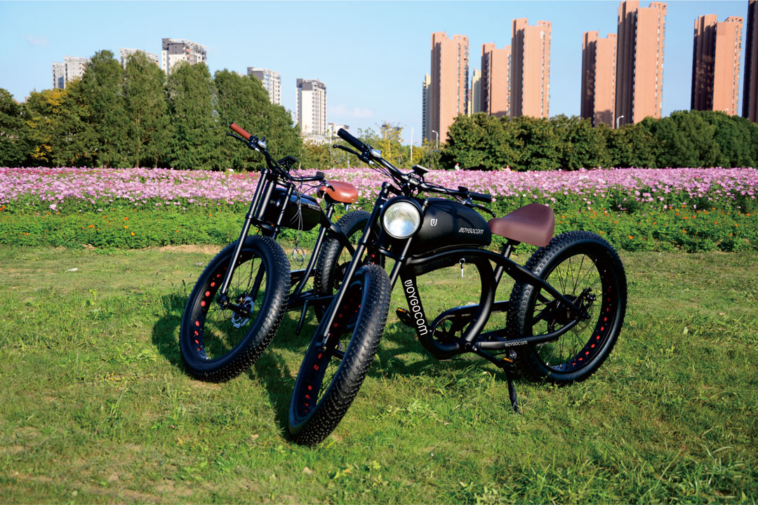 Possible Consequences of Electric Bicycle Key Switch Malfunction and How to Ensure Safety