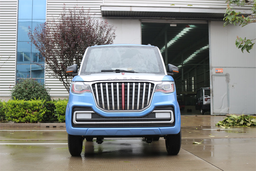 Low-Speed Electric Vehicles Taking Center Stage Leaders in the Era of Sustainable Energy