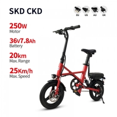 Electric Bike X1 250W 36V 7.8Ah 25km/h
