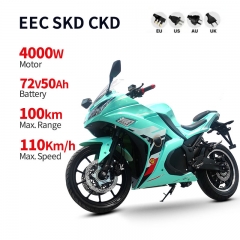 Electric Motorcycle RZ-2 4000W 72V 50Ah 110km/h (EEC)