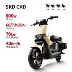 Electric Bike GB-58 800W 60V/72V 20Ah 40km/h (Private Model)
