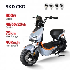 Electric Bike GB-33 800W 48V/60V 20Ah 40km/h