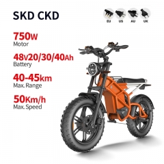 Electric Bike D74 750W 48V 20Ah/30Ah/40Ah 50km/h