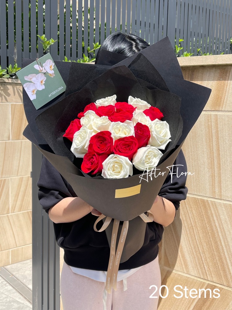 Red and White Roses