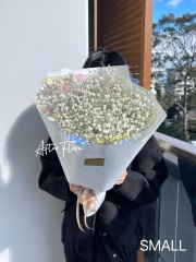 Baby's Breaths Bouquet