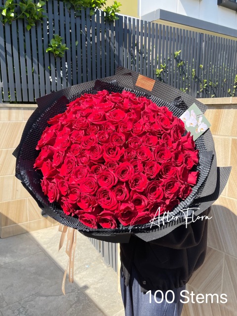 Classic Red Roses