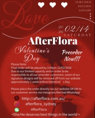 Happy Valentine's Day