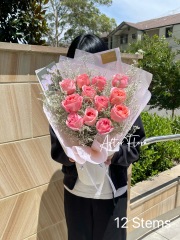 Pink Roses with Misty