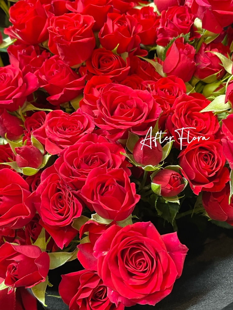 Petite Rose Red