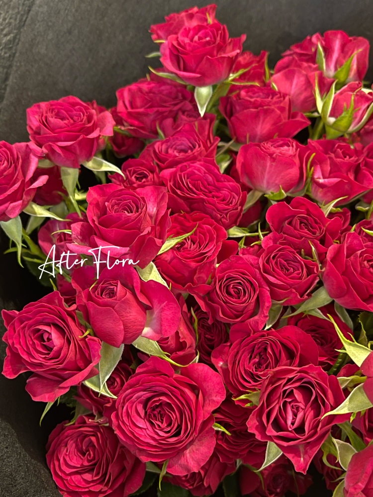 Petite Rose Hot Pink