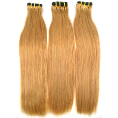 RXHAIR 27 Color Funmi Straight Double Drawn Hair Virgin Cuticle Aligne Hair By High Quality