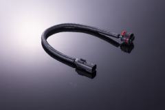 Fuel rail wire harness