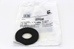 Plain Washer for ISM11/QSM11/M11