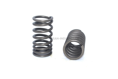 Exhausht valve spring (outer)