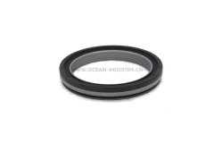 401106-00217 Front crankshaft oil seal for D1146/DE08T