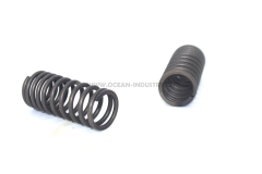 Exhausht valve spring (inner)
