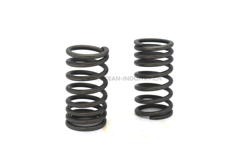 Exhausht valve spring (outer)