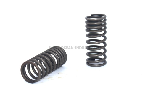 Exhausht valve spring (inner)