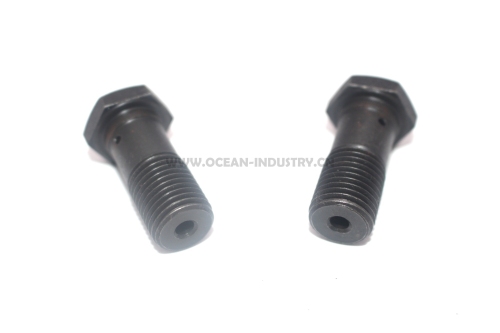 65.05405-6001 Oil cooling nozzle bolts for D1146/DE08Tis