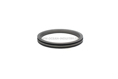 65.01510-0037 Back crankshaft oil seal for D1146/DE08Tis