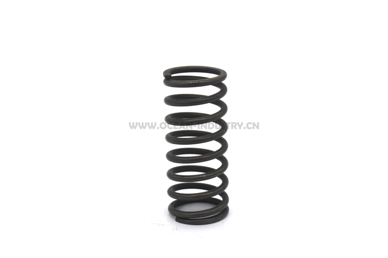 J05E/J08E Valve spring (outer)