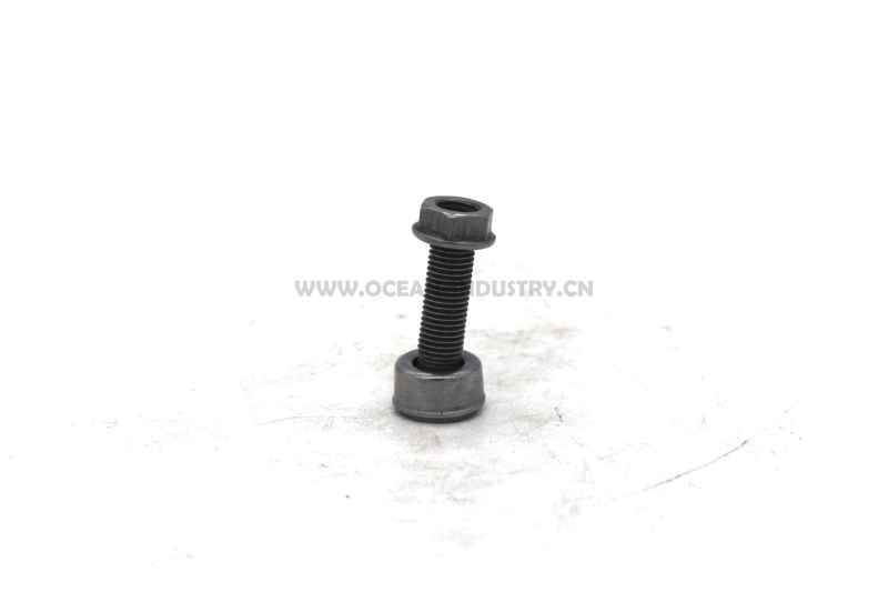 J05E/J08E Valve ajusting bolt