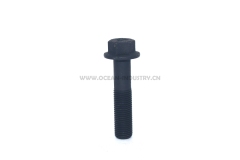 3896790 Hexagon Flange Head Cap Screw for QSM11 ISM11 M11