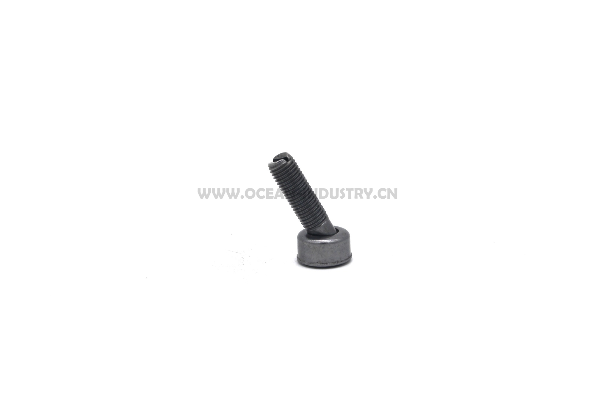 J05E/J08E Valve ajusting bolt