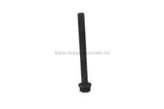 J05E J08E Cylinder head bolts (short)
