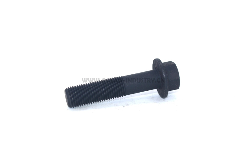 3896790 Hexagon Flange Head Cap Screw for QSM11 ISM11 M11