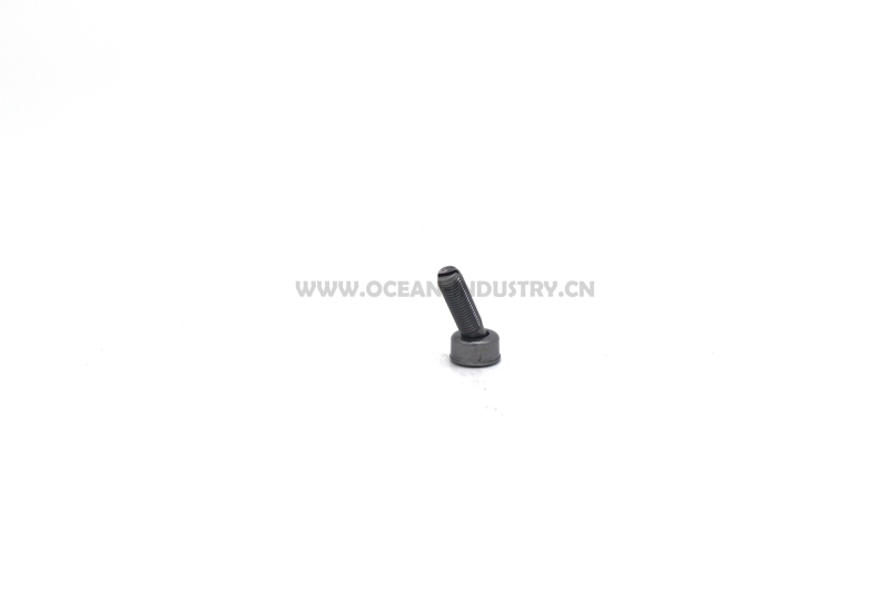 J05E/J08E Valve ajusting bolt