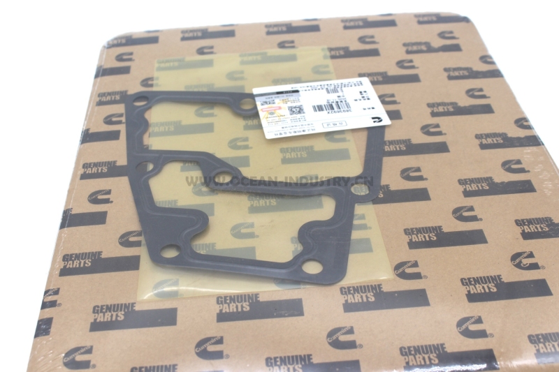 3893692 Support Gasket for QSM11 ISM11 M11