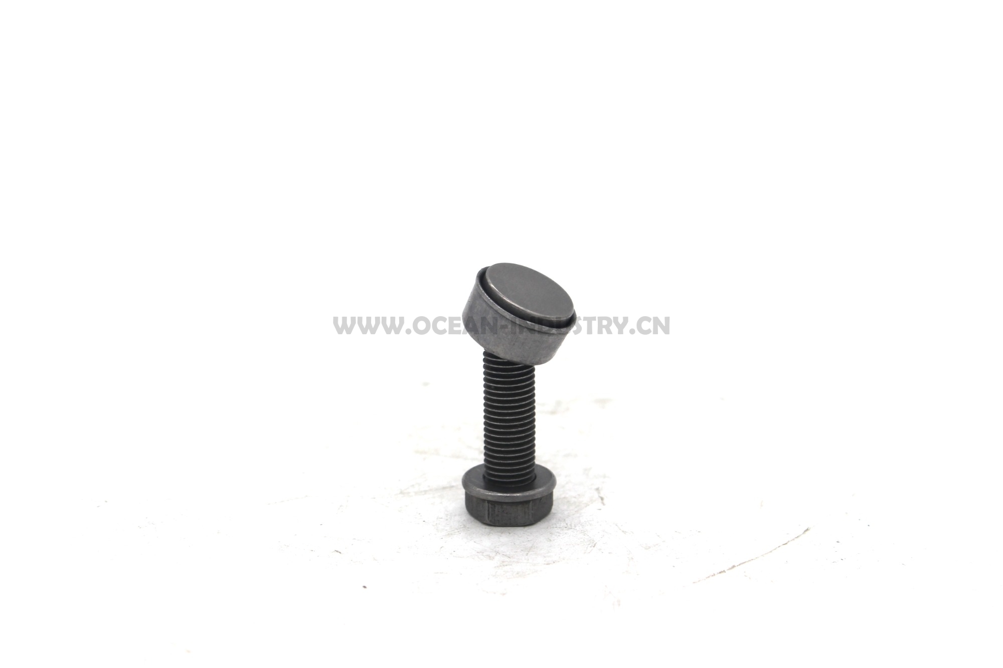 J05E/J08E Valve ajusting bolt