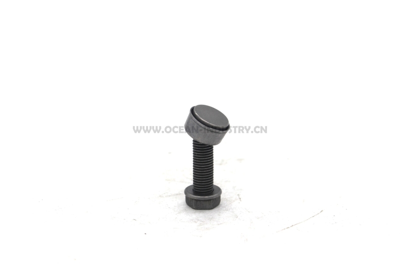 J05E/J08E Valve ajusting bolt