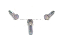 3899757 Hexagon Head Cap Screw for QSM11 ISM11 M11