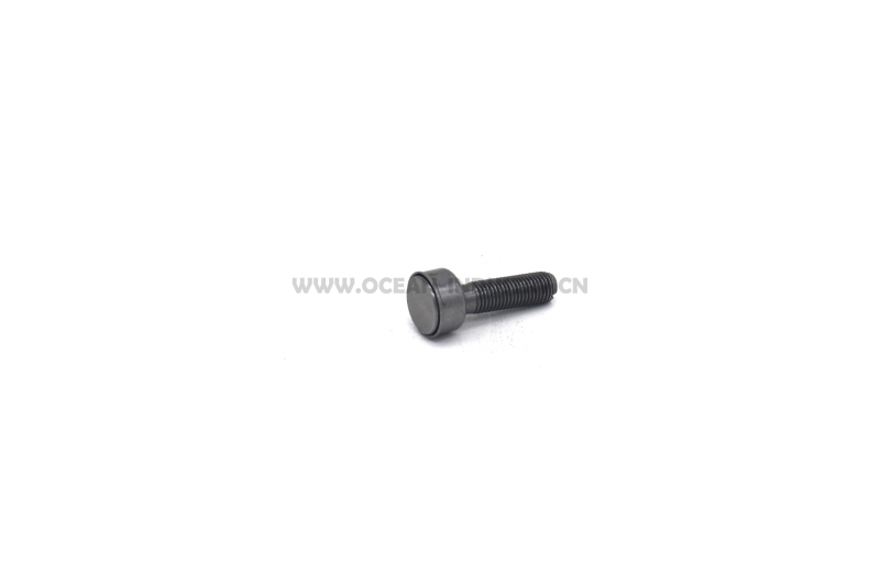 J05E/J08E Valve ajusting bolt
