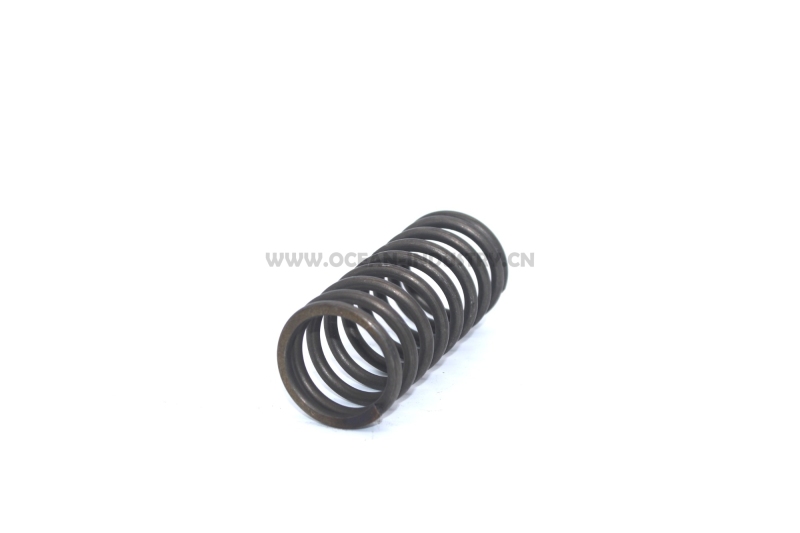 J05E/J08E Valve spring (outer)