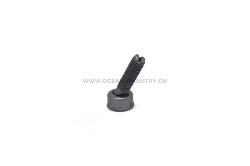 J05E/J08E Valve ajusting bolt