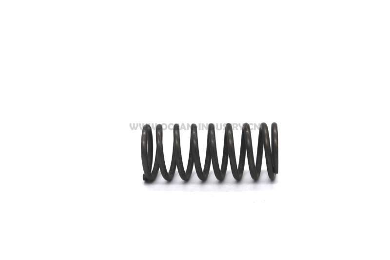 J05E/J08E Valve spring (outer)
