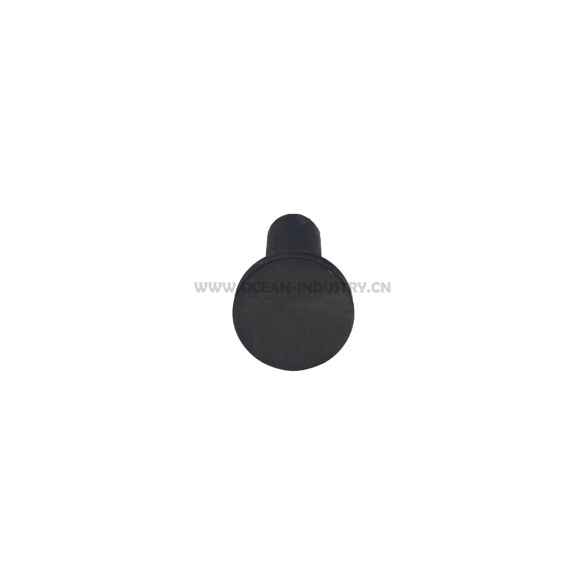 3931623  valve tappet 6D114 L9.3 6CT