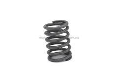 4JG1 Valve spring