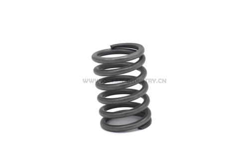 4JG1 Valve spring